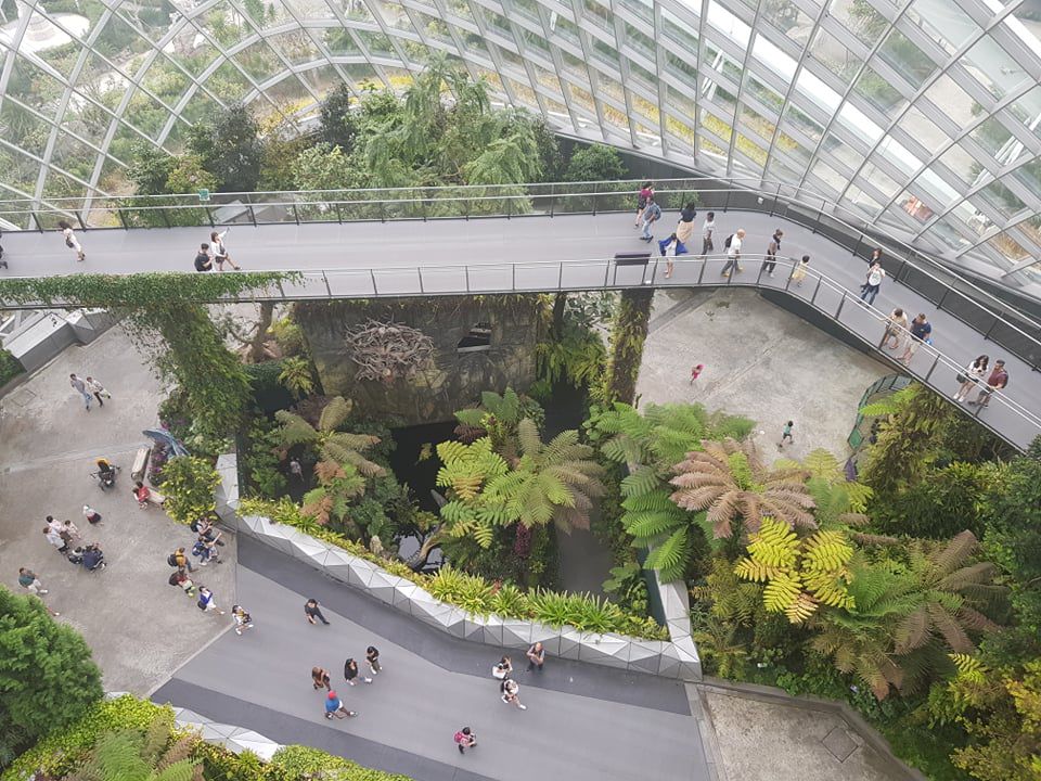 Rừng đám mây Singapore.jpg