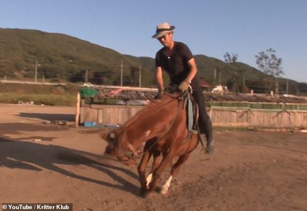 Chú ngựa láu cá giả vờ chết để trốn việc - 3