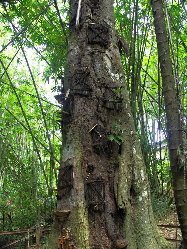 Những chỗ chôn người chết kì lạ nhất thế giới - 9