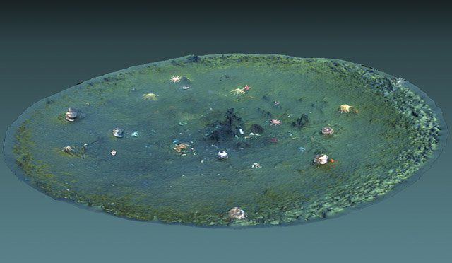 Phát hiện hàng nghìn hố bí ẩn xuất hiện dưới đáy biển - 1