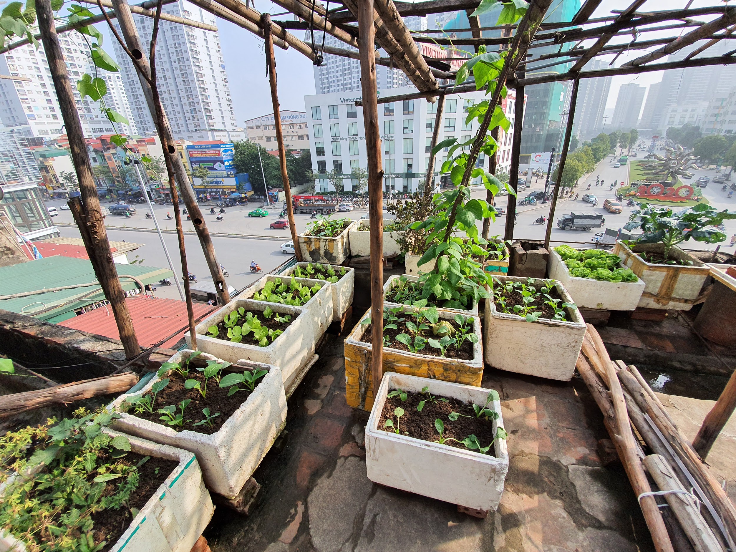 Độc đáo “nông trại” trồng rau, nuôi gà trên sân thượng, giữa lưng trời ở Hà Nội - 4
