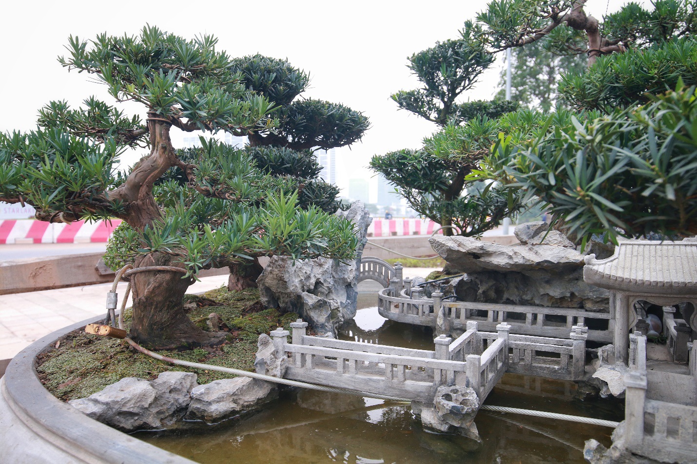 Chiêm ngưỡng “Đồi Tùng La Hán” thiết kế bắt mắt độc nhất vô nhị - 7