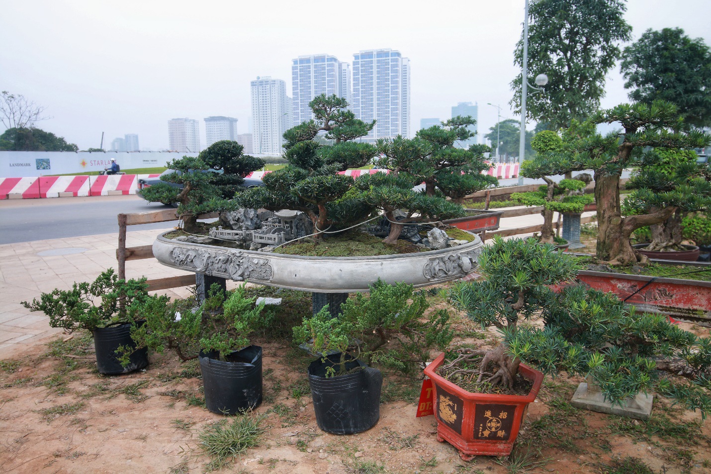 Chiêm ngưỡng “Đồi Tùng La Hán” thiết kế bắt mắt độc nhất vô nhị - 10