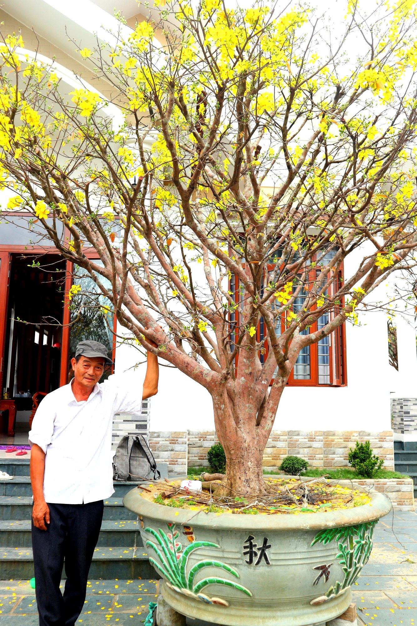 Ngắm vườn mai vô giá của lão nông dịp Tết - 1