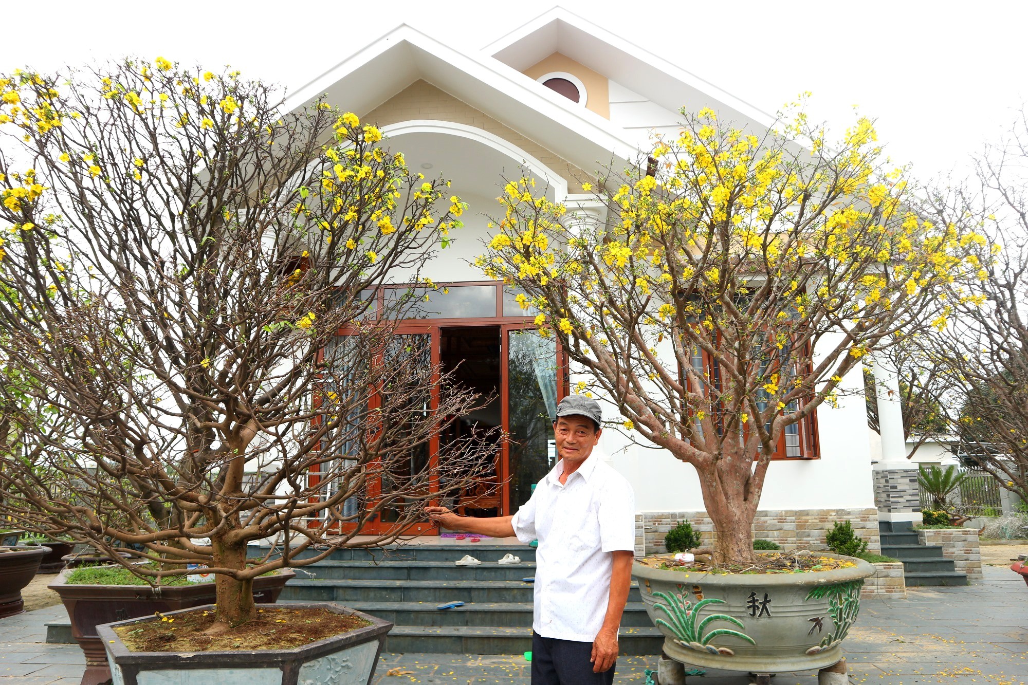Ngắm vườn mai vô giá của lão nông dịp Tết - 13