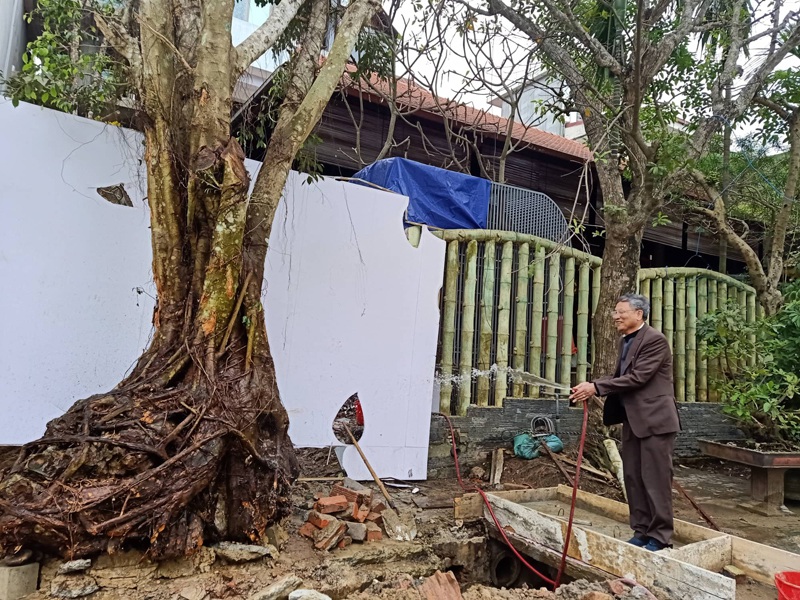 Chuỗi ngày không ngủ của ông chủ ngôi nhà gỗ 30 tỷ vừa tậu cặp cây khủng - 19