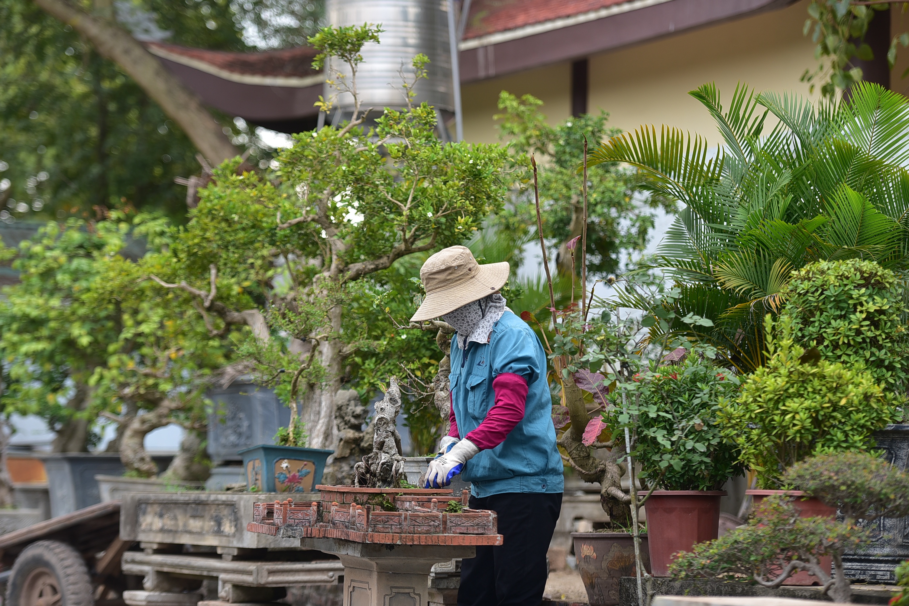 Hoa mắt trước khu vườn triệu đô của ông vua cây cảnh - 8