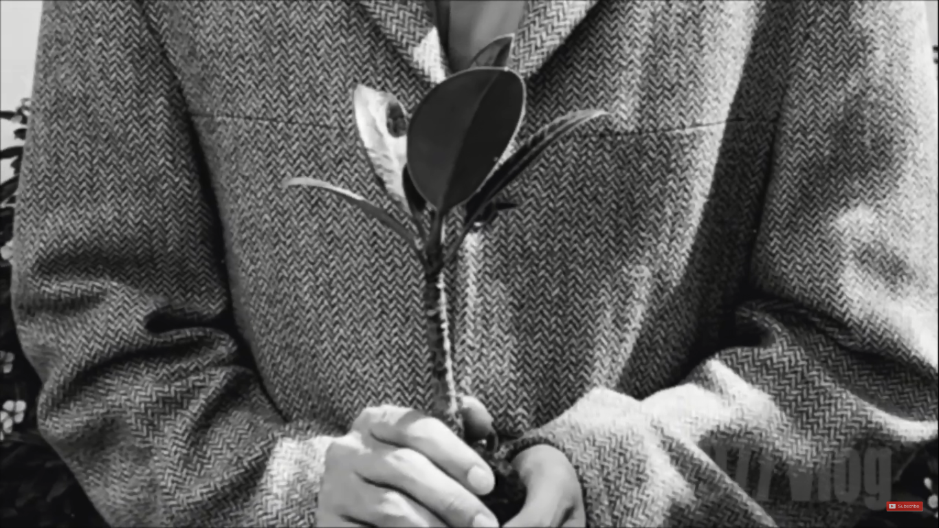 Video mới đậm chất thời sự dịch Covid-19 của 1977 Vlog - 3