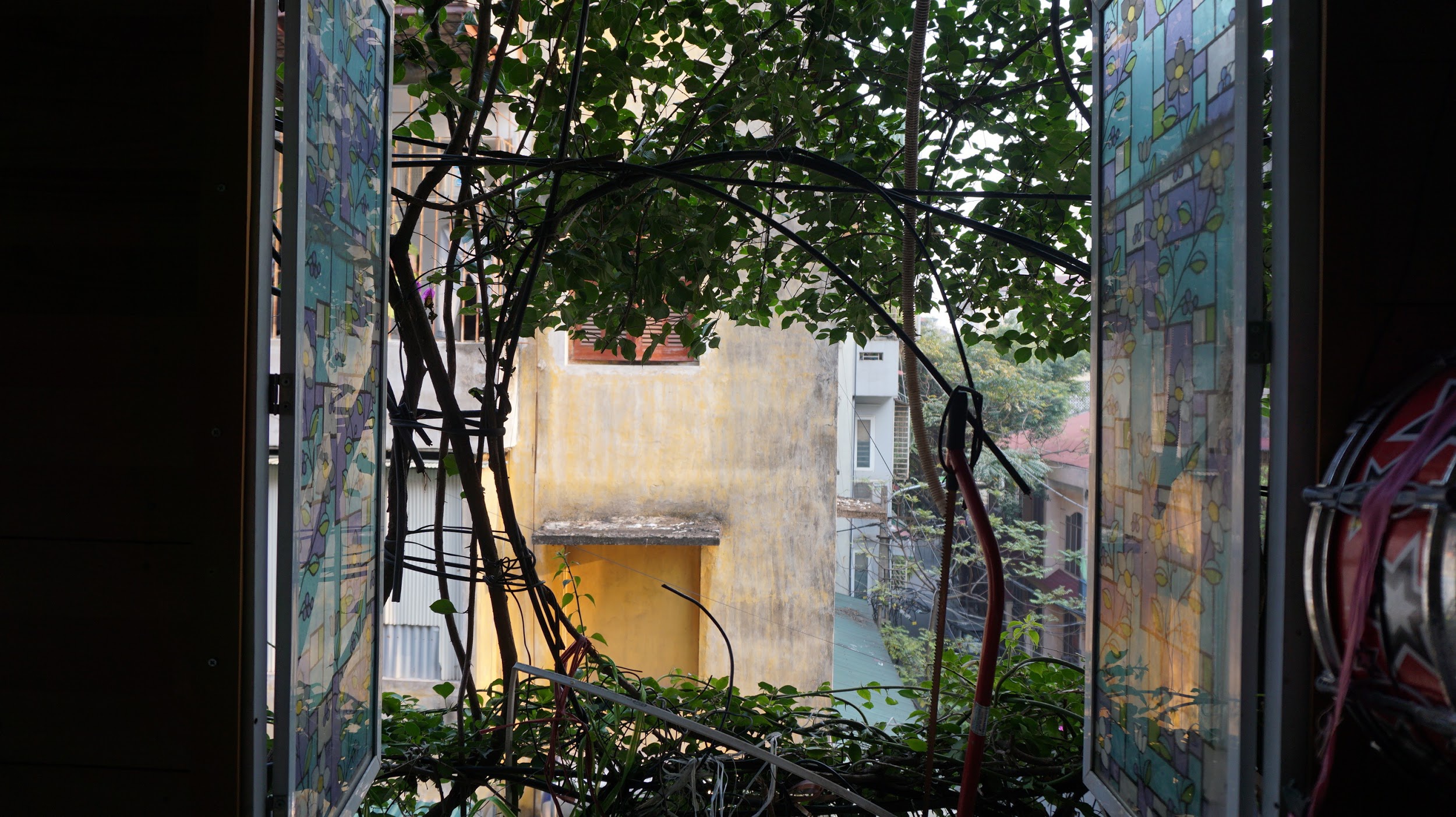 Nhà cây 5 tầng phủ kín hoa giấy ở Hà Nội, ai đi qua cũng dừng lại ngắm - 13
