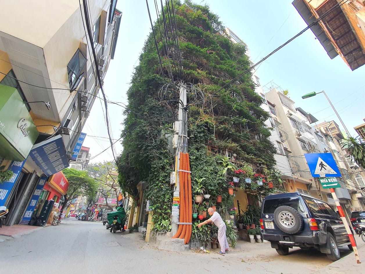 Nhà cây 5 tầng phủ kín hoa giấy ở Hà Nội, ai đi qua cũng dừng lại ngắm - 15
