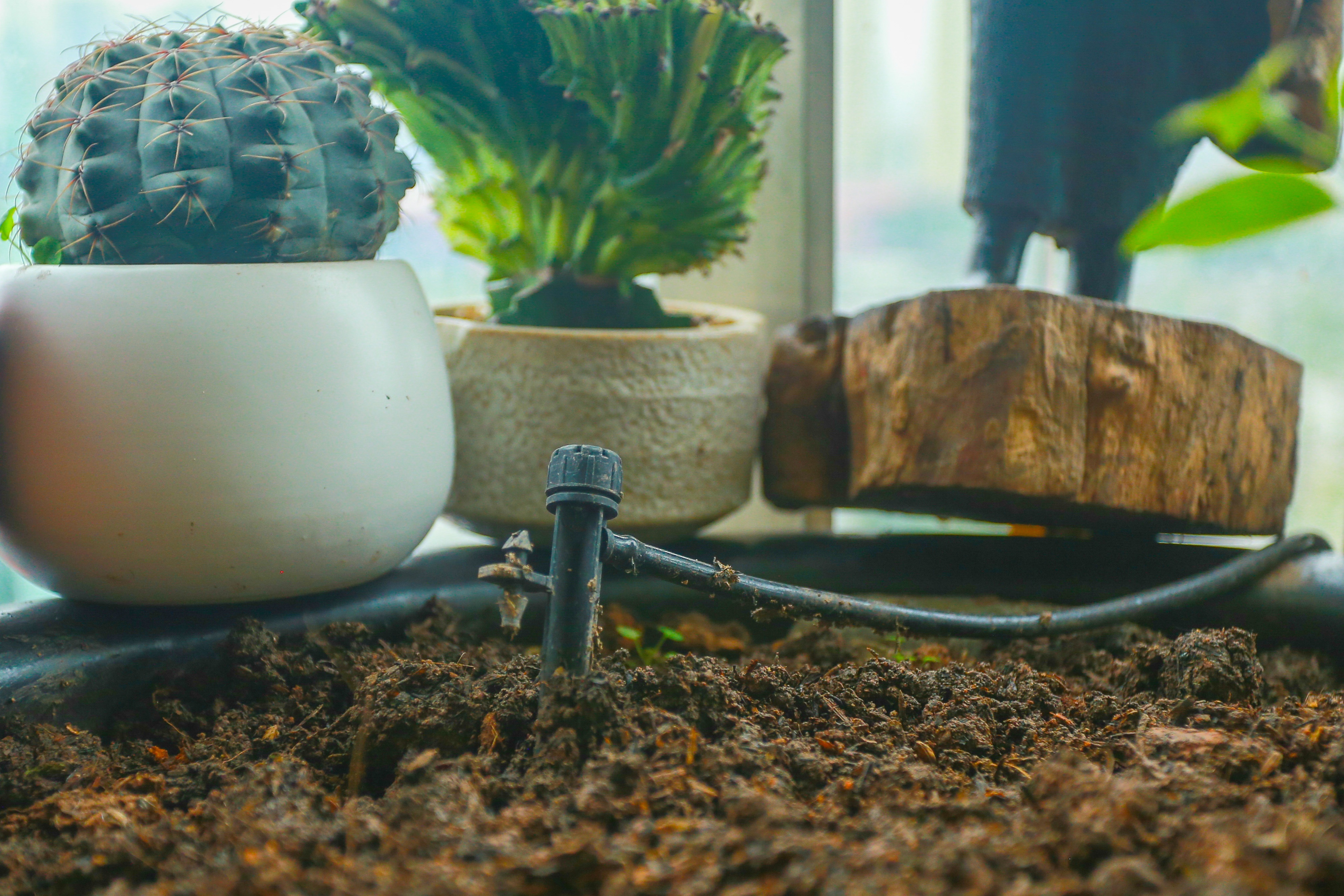 Ngôi nhà với ban công đẹp như cổ tích của nữ nhà báo điều tra nổi tiếng VTV - 10