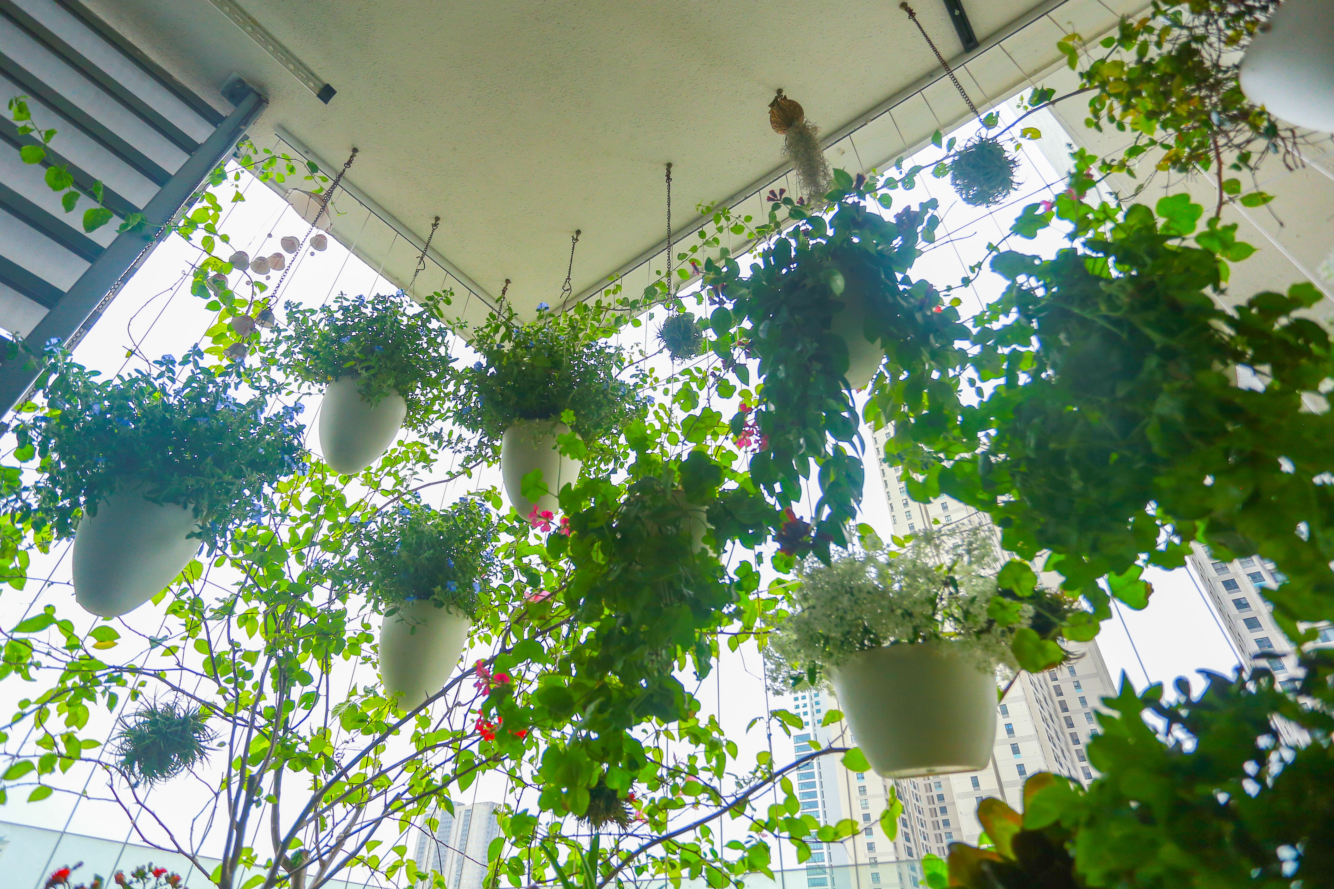 Ngôi nhà với ban công đẹp như cổ tích của nữ nhà báo điều tra nổi tiếng VTV - 6