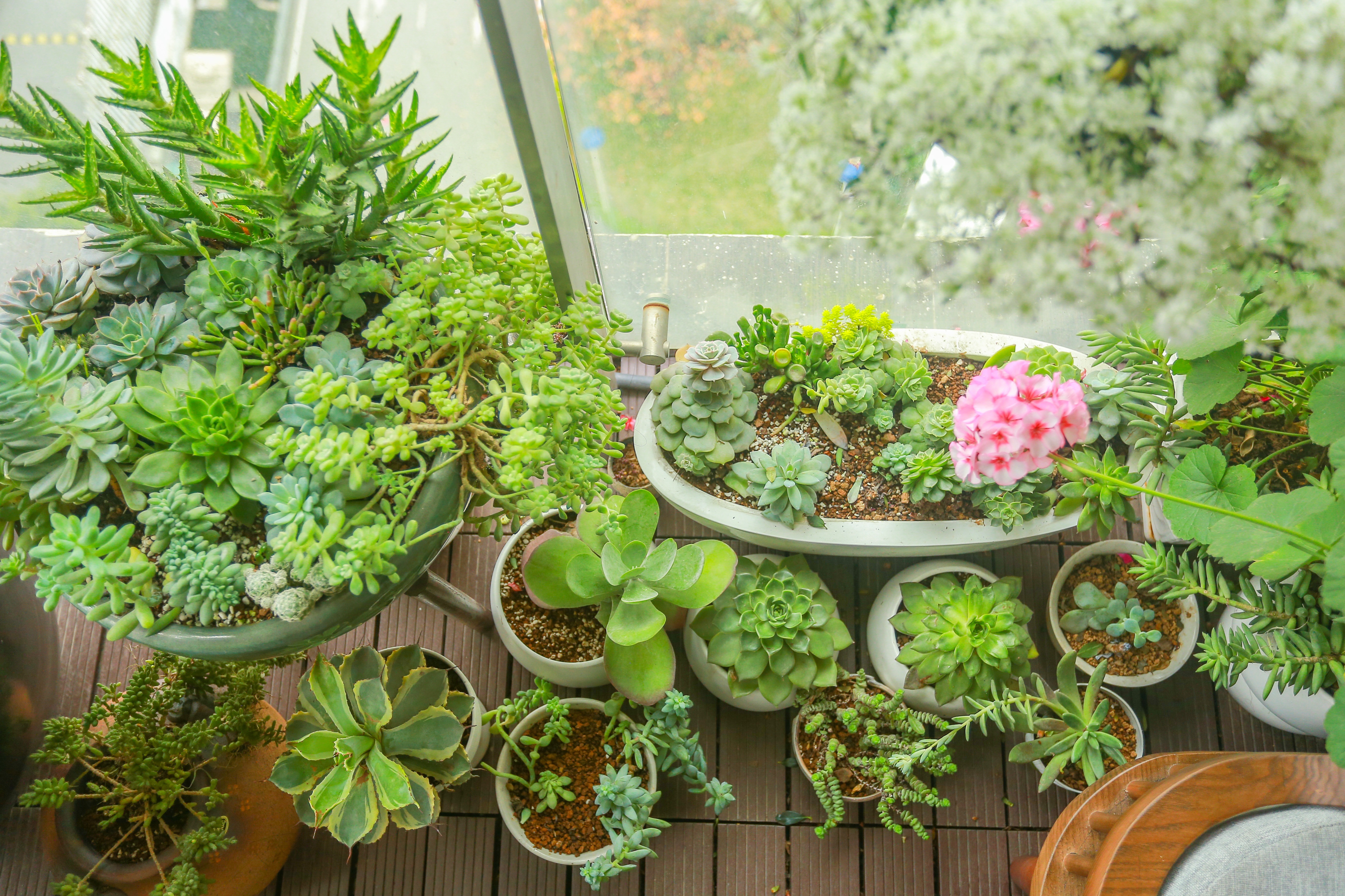 Ngôi nhà với ban công đẹp như cổ tích của nữ nhà báo điều tra nổi tiếng VTV - 9