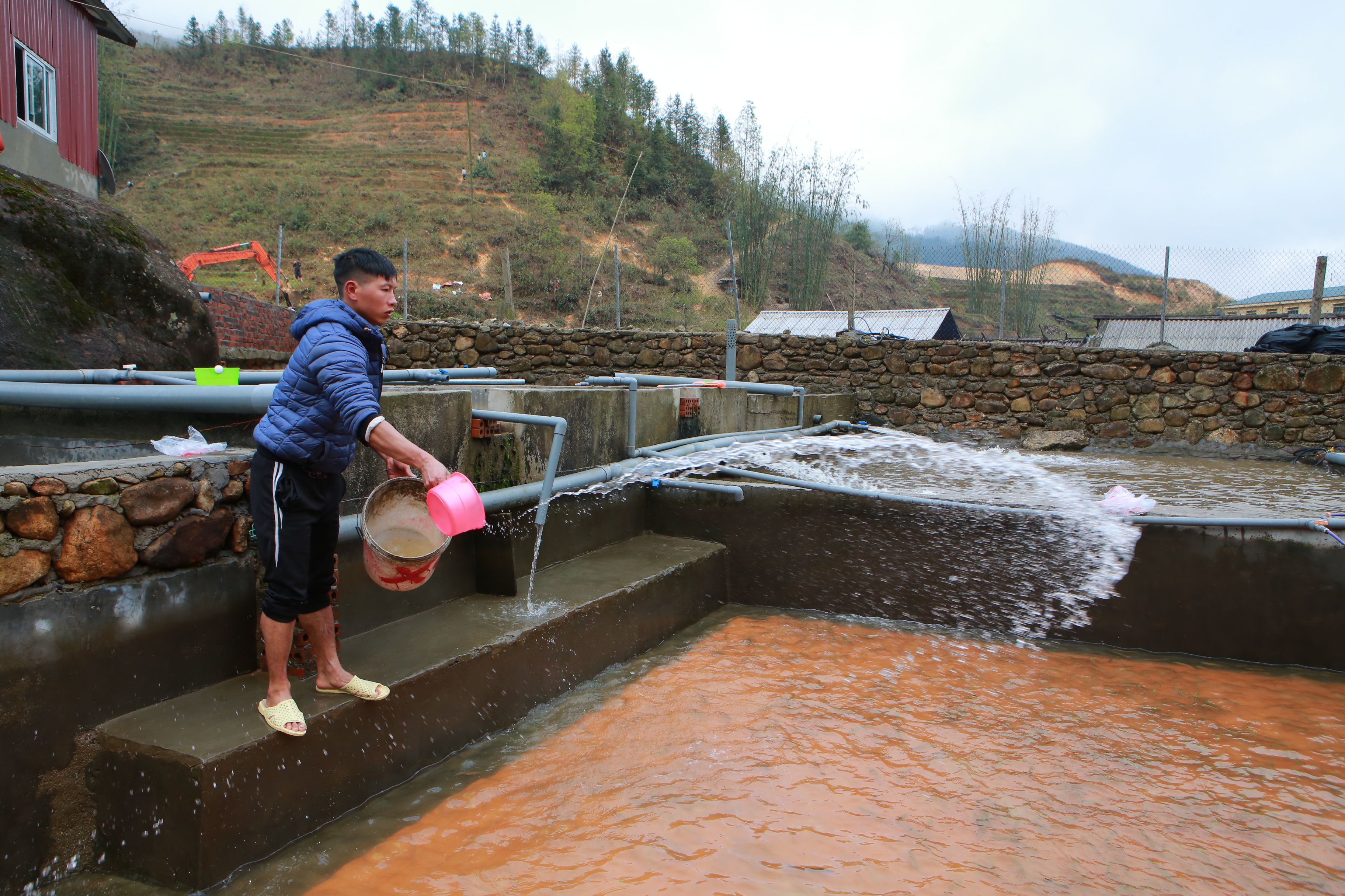 Tiểu thương “kêu trời” vì cá hồi Sa Pa trượt giá - 9