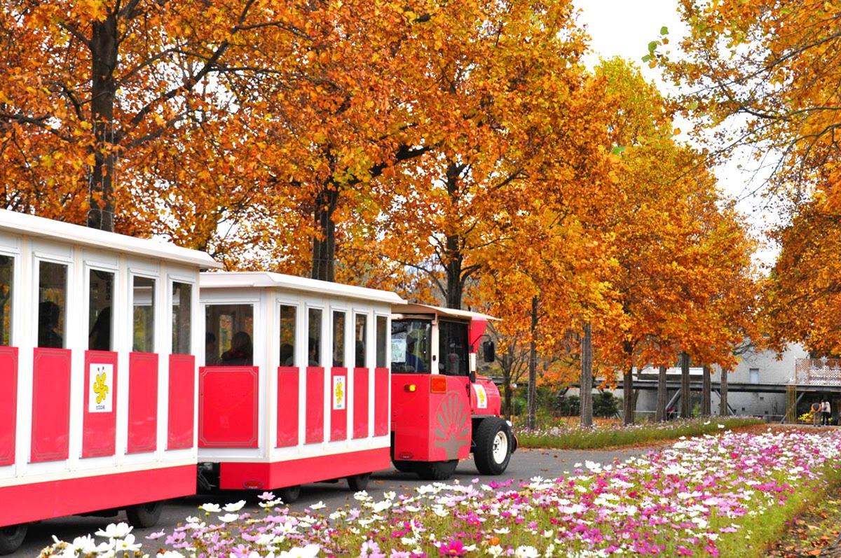 Đến nơi bốn mùa đều ngát hương hoa - 8