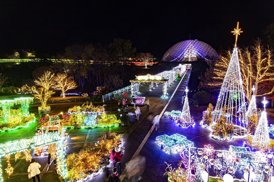 Đến nơi bốn mùa đều ngát hương hoa - 9