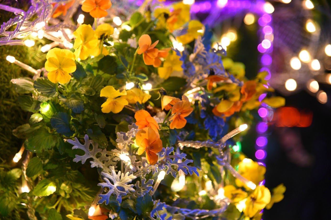 Đến nơi bốn mùa đều ngát hương hoa - 10