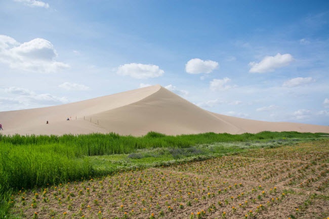 Bên trong ốc đảo 2.000 năm tuổi giữa sa mạc ở Trung Quốc - 11