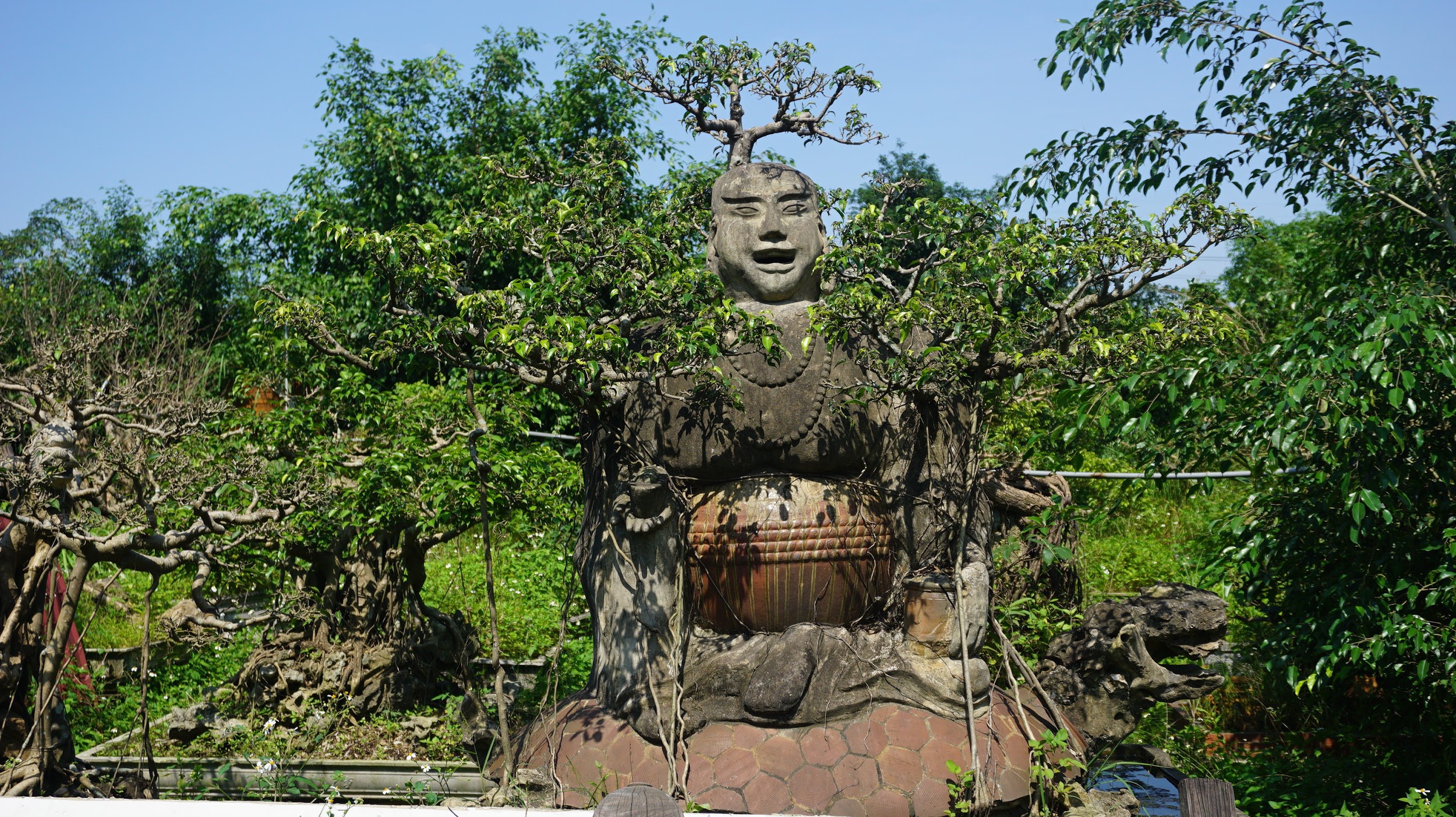 Khu vườn bỏ hoang toàn siêu cây bạc tỷ của đại gia nức tiếng một thời - 14