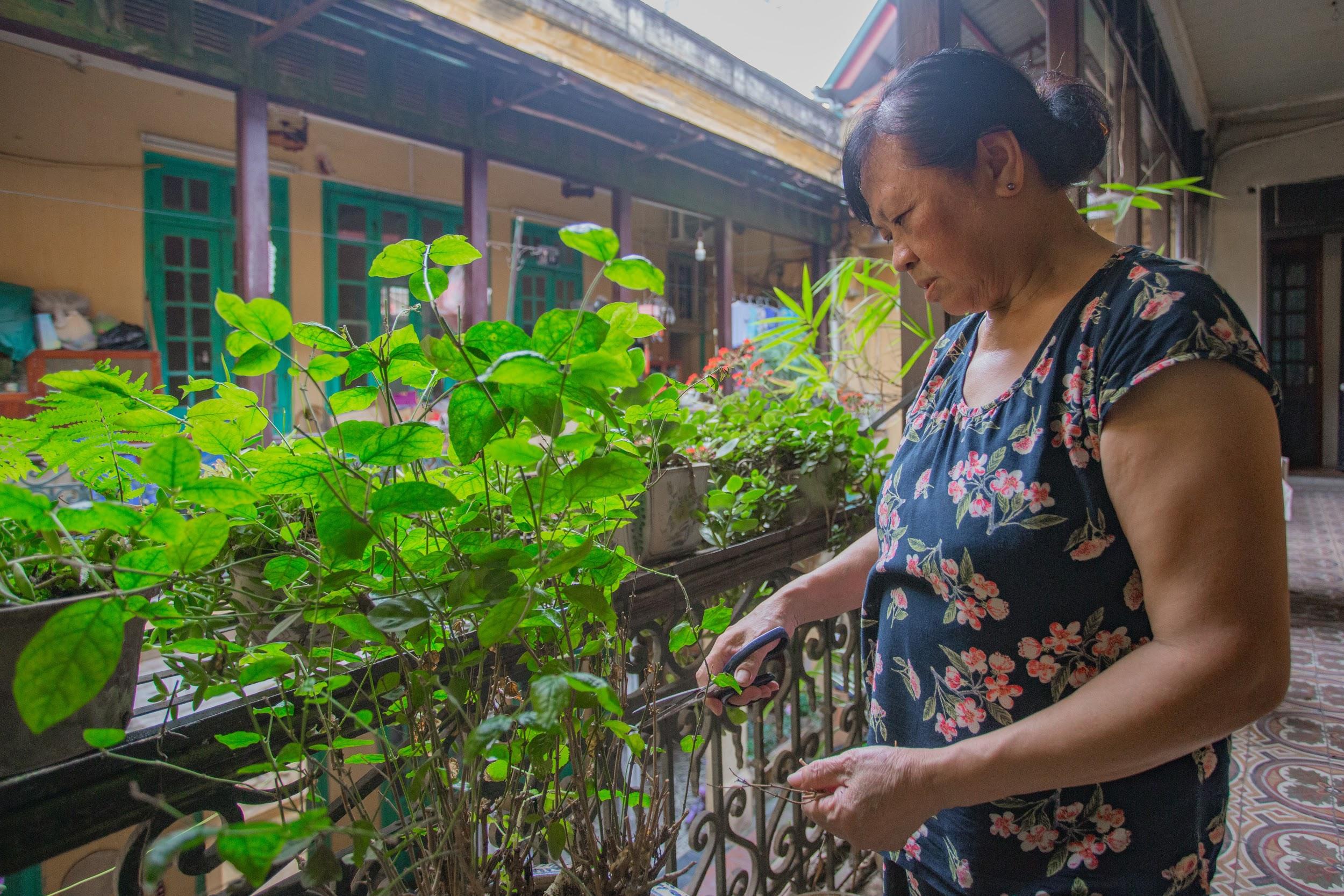 Biệt thự cổ của đại gia Hàng Bè: Rộng 800m2, nội thất nhập toàn từ châu Âu - 6