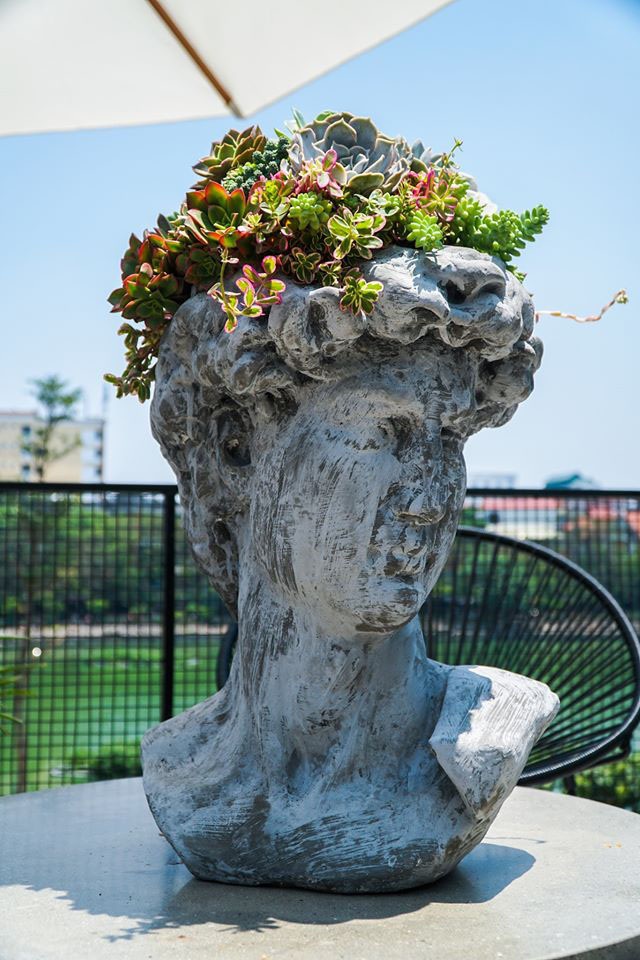 Độc đáo thú chơi tượng cây, đại gia có tiền cũng không thể mua nổi - 1