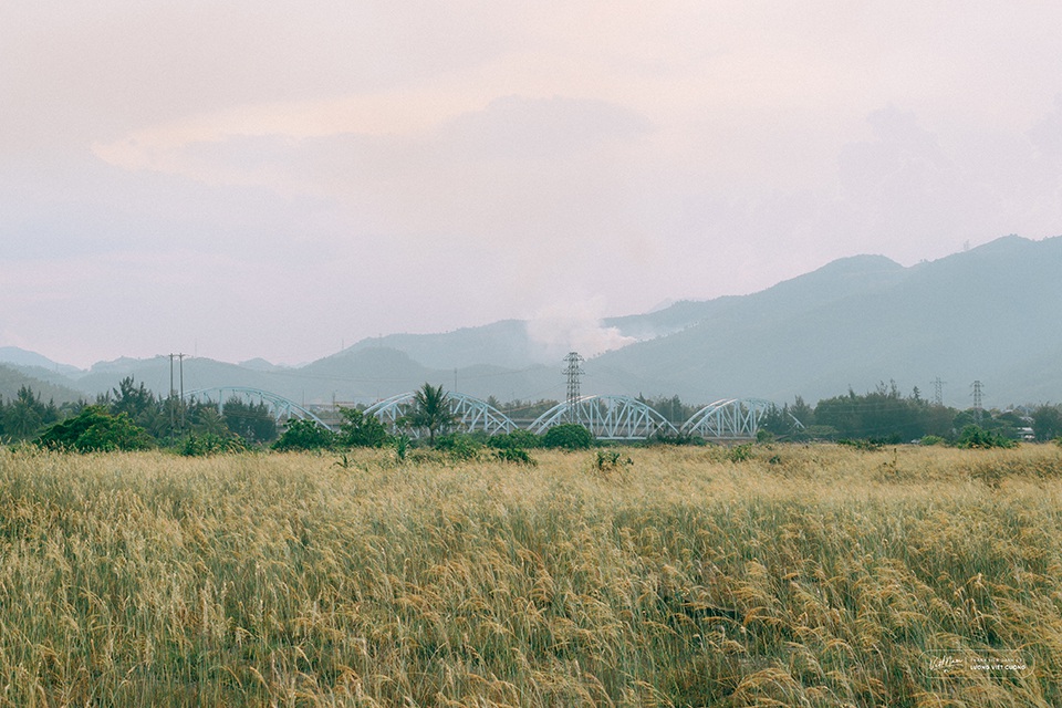 Ngẩn ngơ vẻ đẹp rạn đá Nam Ô ở Đà Nẵng - 6