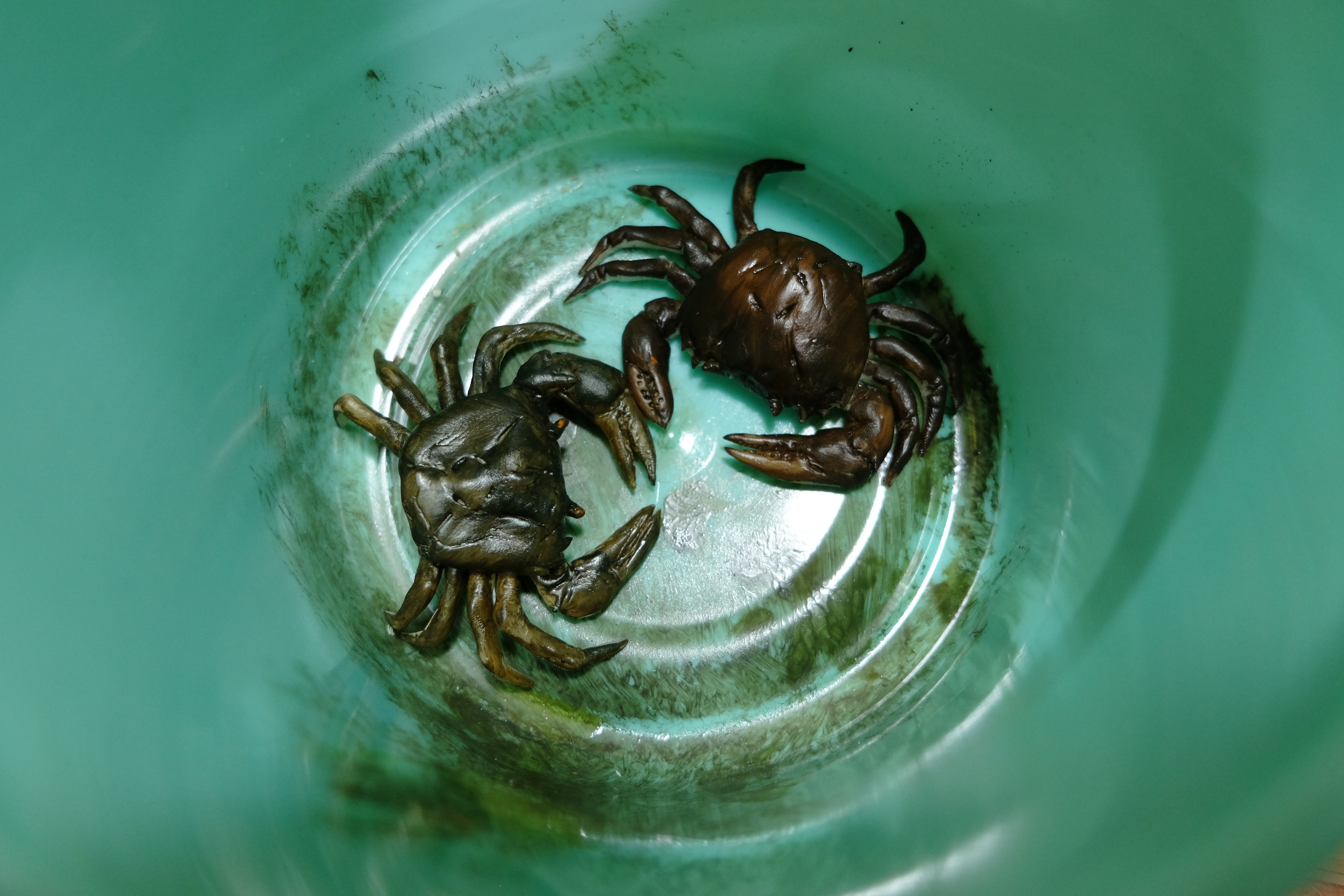 Chàng trai thổi hồn đặc sản miền Tây vào đất sét Việt - 16