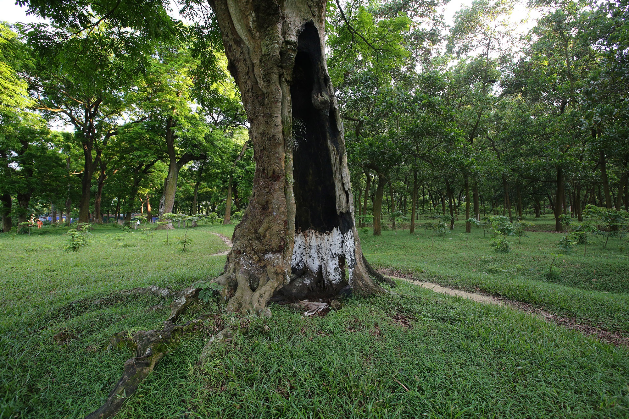 Truyện Ngày 7.7: Xung Hỉ Cho Anh