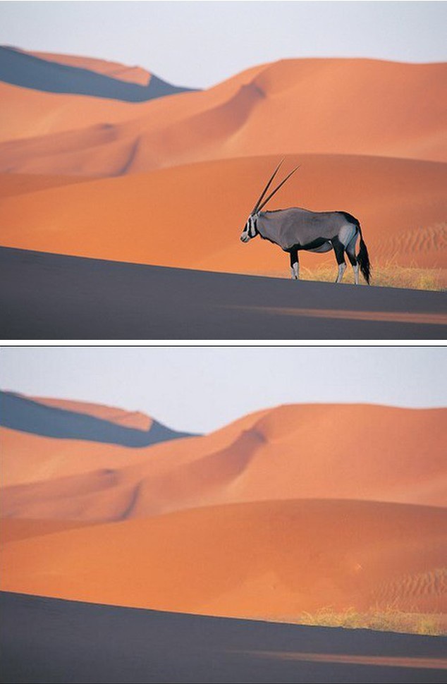 Những ứng dụng xử lý ảnh thú vị và hữu ích nên có trên smartphone (Phần 1) - 3