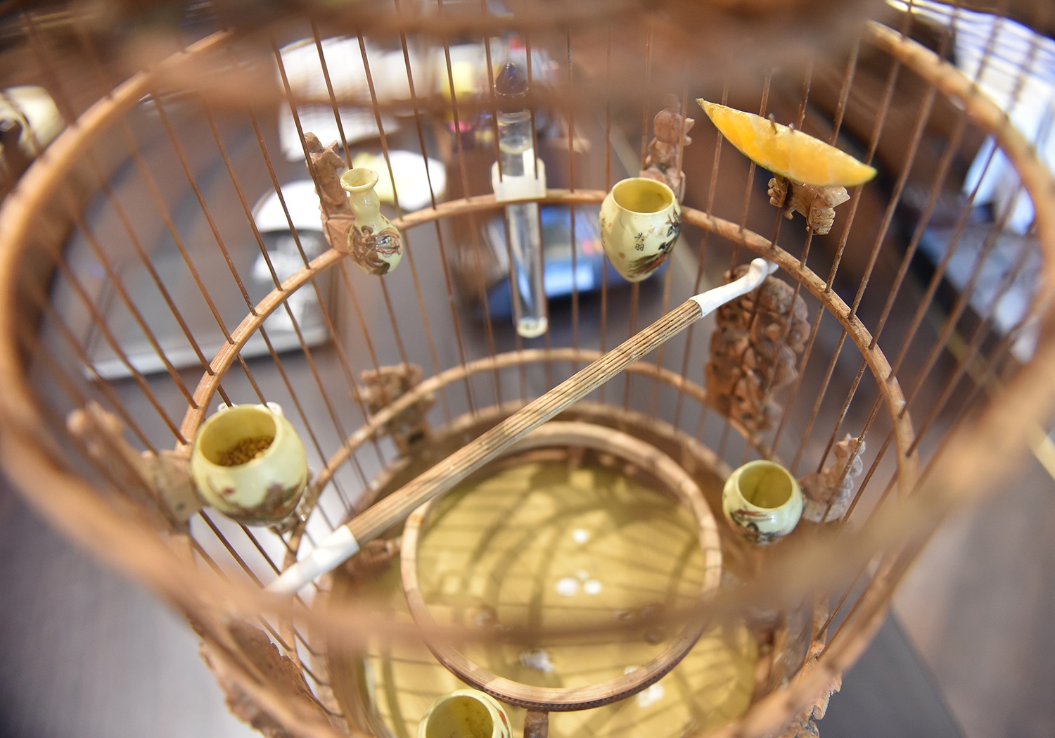 Cận cảnh bộ sưu tập lồng chim đắt đỏ giá 10 tỷ đồng của đại gia Việt - 11