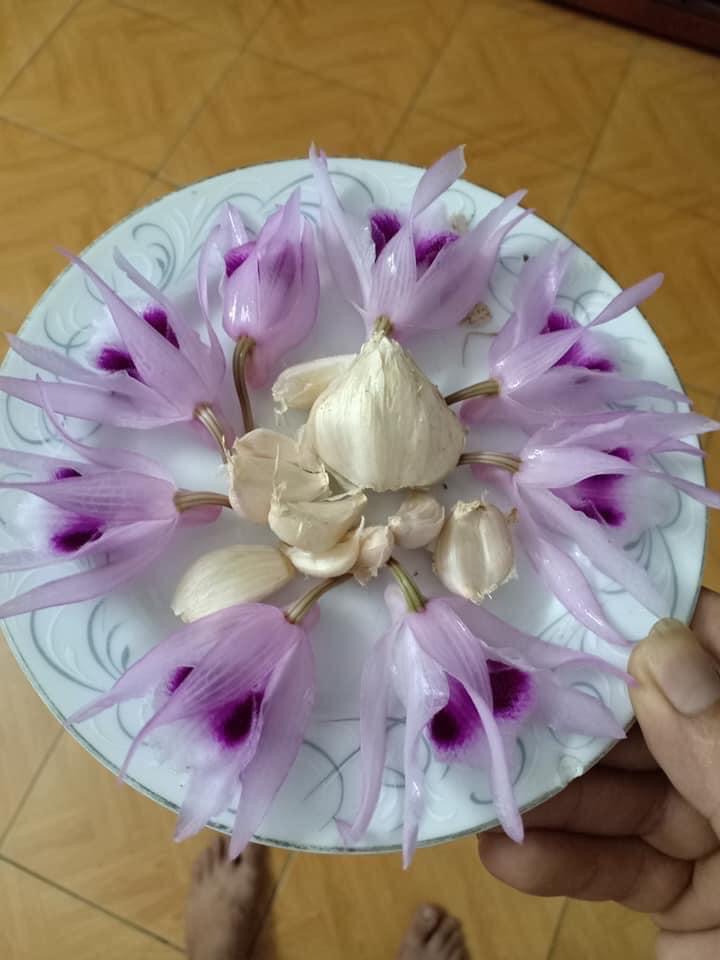 Cười bò khi dân mạng đua nhau chế ảnh giao dịch lan đột biến tiền tỷ - 8