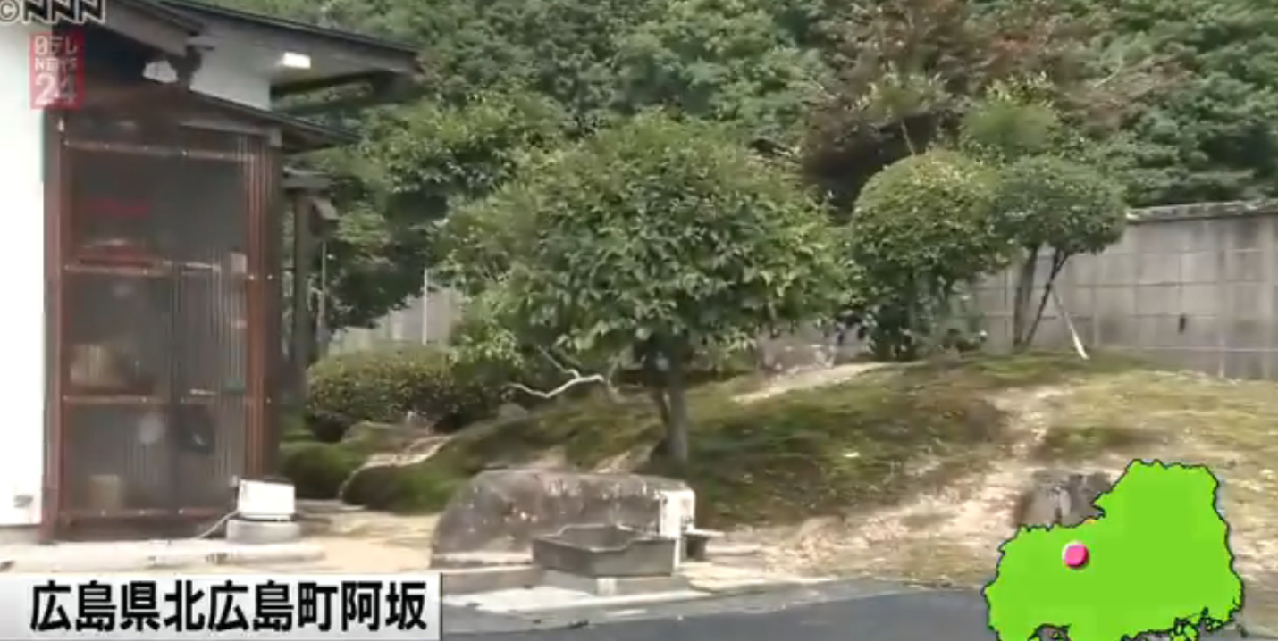 Cụ bà 82 tuổi tay không đánh thắng gấu ở vườn nhà - 2