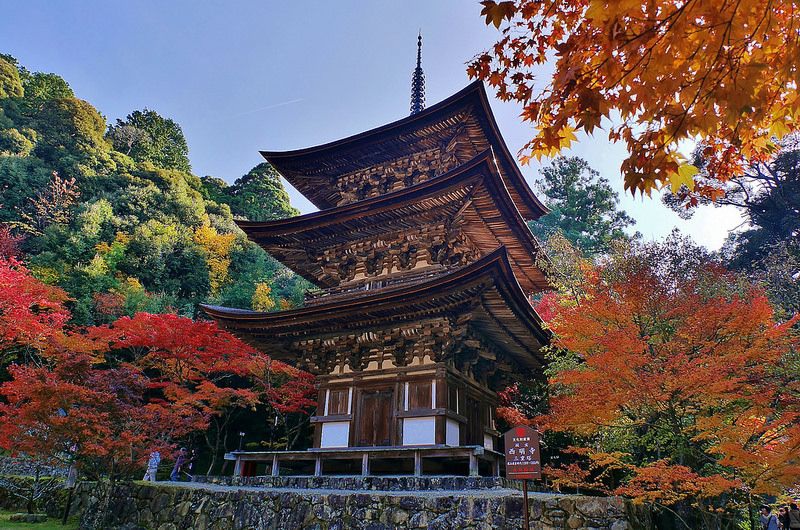 101 mẫu tranh phong cảnh chùa một cột đẹp nhất chất lượng cao tải miễn phí