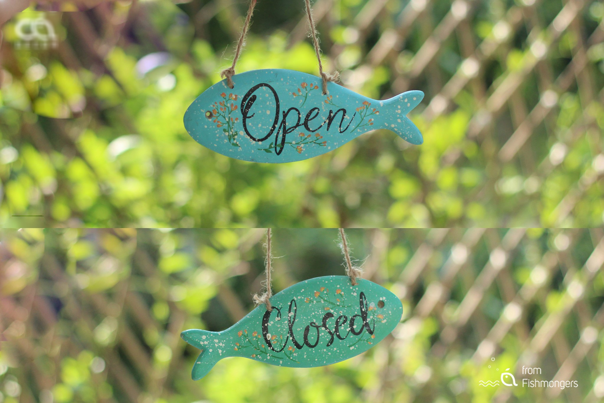 Nữ 9x bỏ việc về quê nuôi cá gỗ, từ ý tưởng điên rồ mang về cả nghìn đô - 13