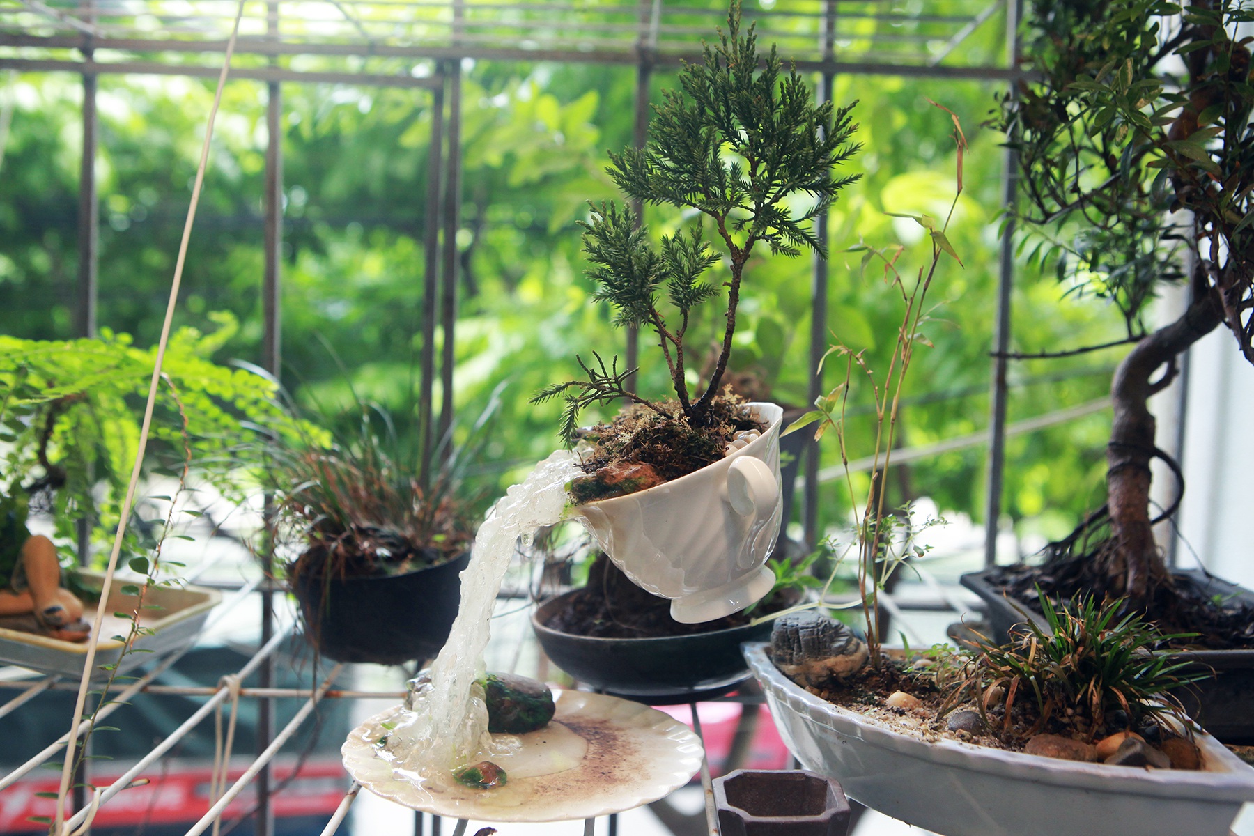 Bất ngờ với những “hòn đảo bay”, tiểu cảnh bay lần đầu xuất hiện ở Hà Nội - 10