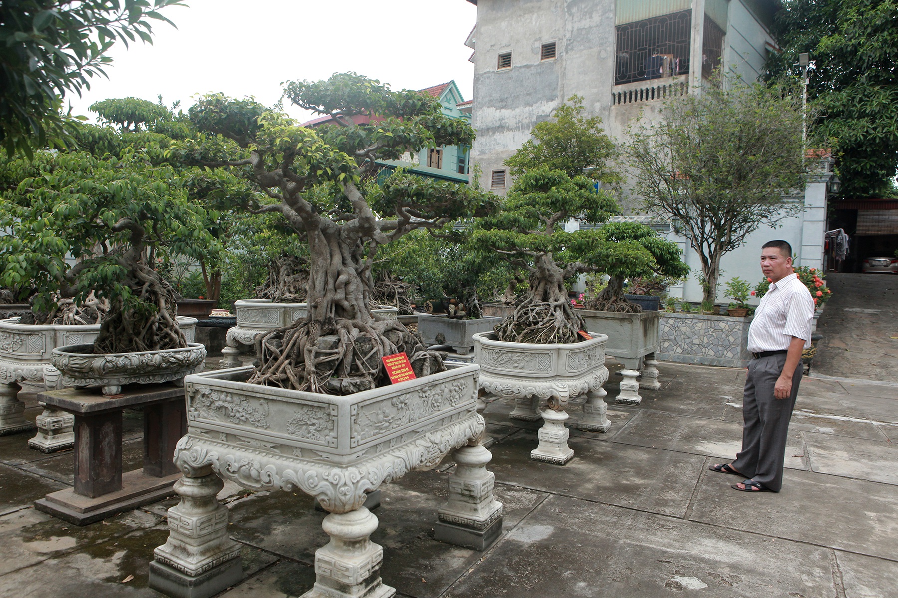 Vườn sanh cổ xứ Huế có giá triệu USD của đại gia Vĩnh Phúc - 10
