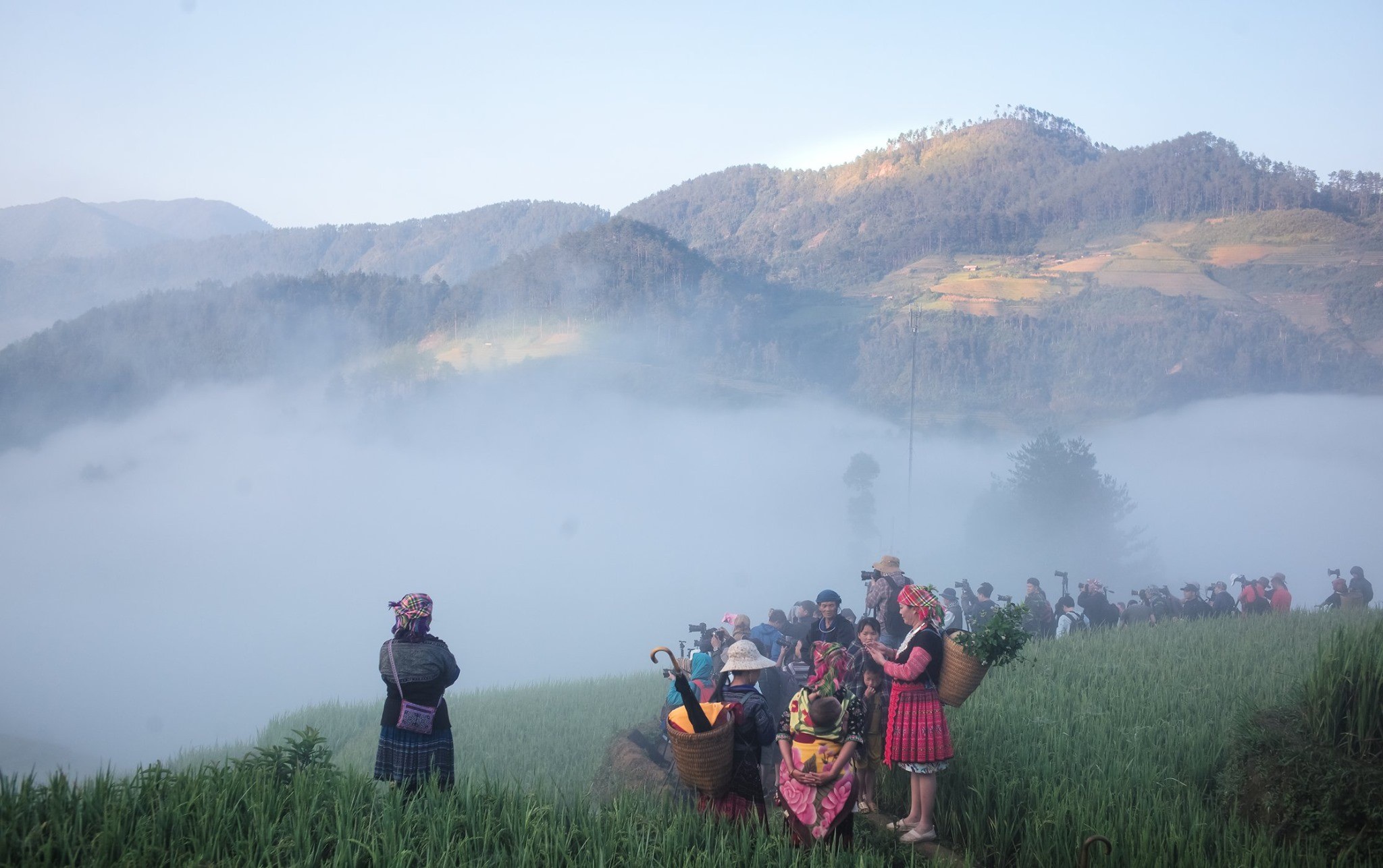 Hậu trường hàng trăm người xếp hàng chụp ảnh ruộng bậc thang Mù Cang Chải - 4