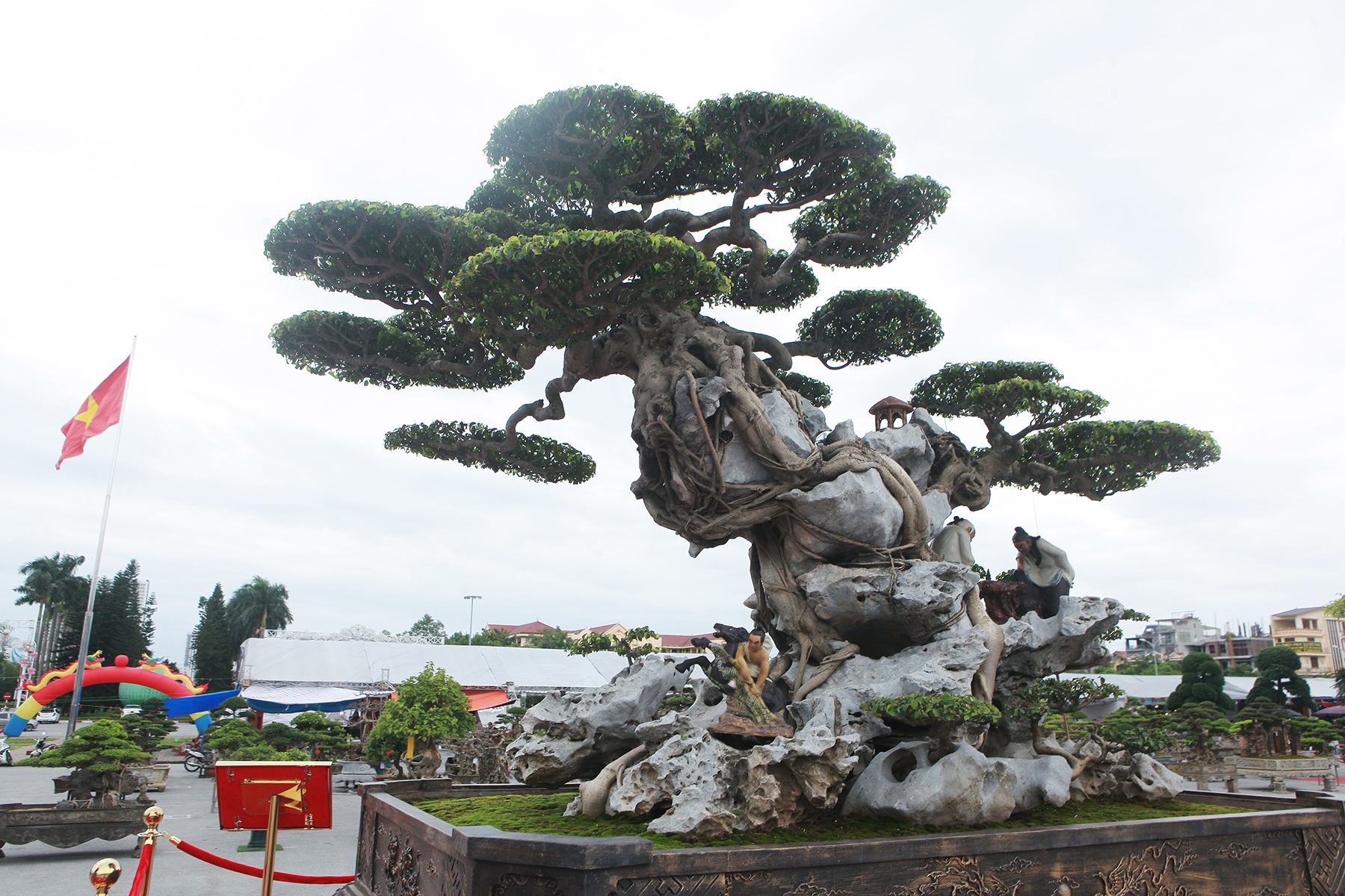 Ngỡ ngàng với huyền thoại sanh cổ ký đá kỳ vĩ nhất Việt Nam - 10