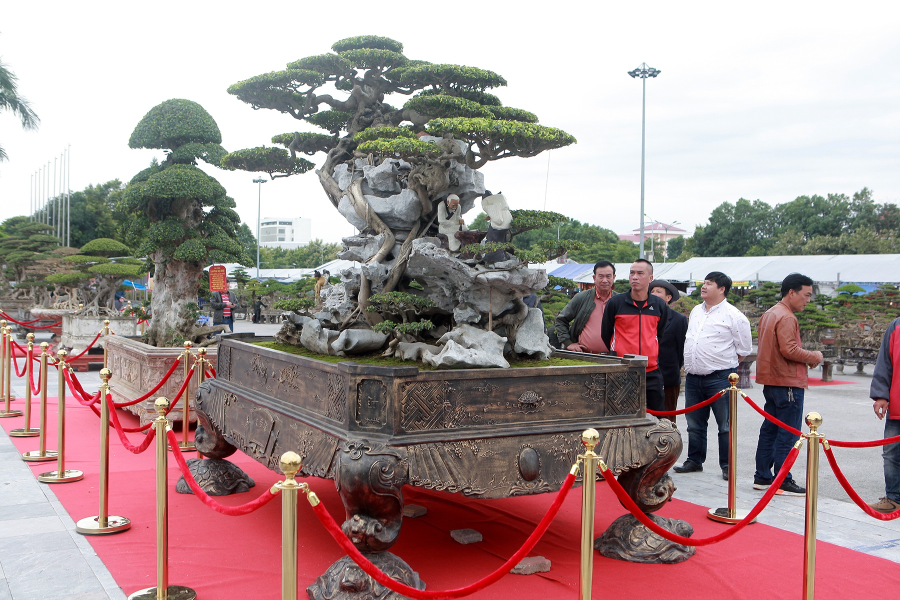 Ngỡ ngàng với huyền thoại sanh cổ ký đá kỳ vĩ nhất Việt Nam - 2