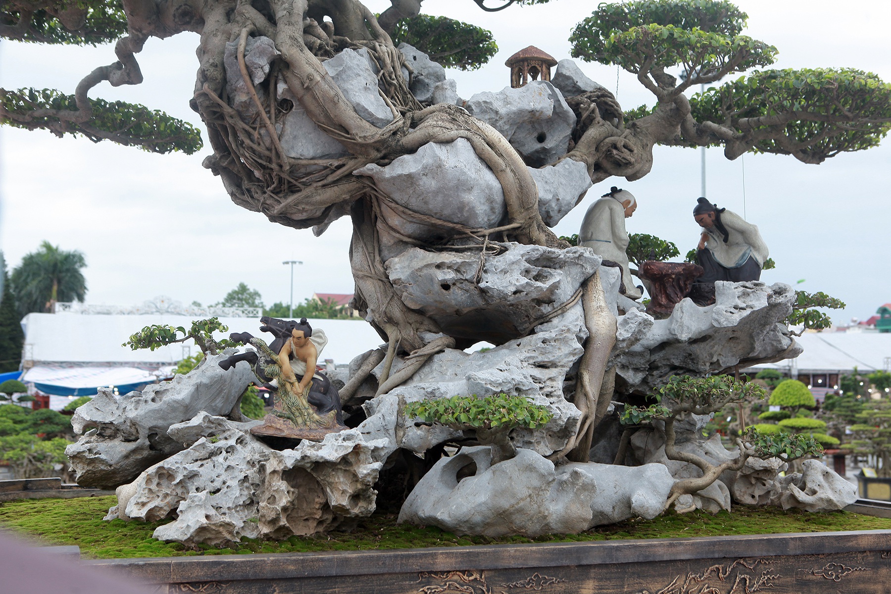 Ngỡ ngàng với huyền thoại sanh cổ ký đá kỳ vĩ nhất Việt Nam - 5