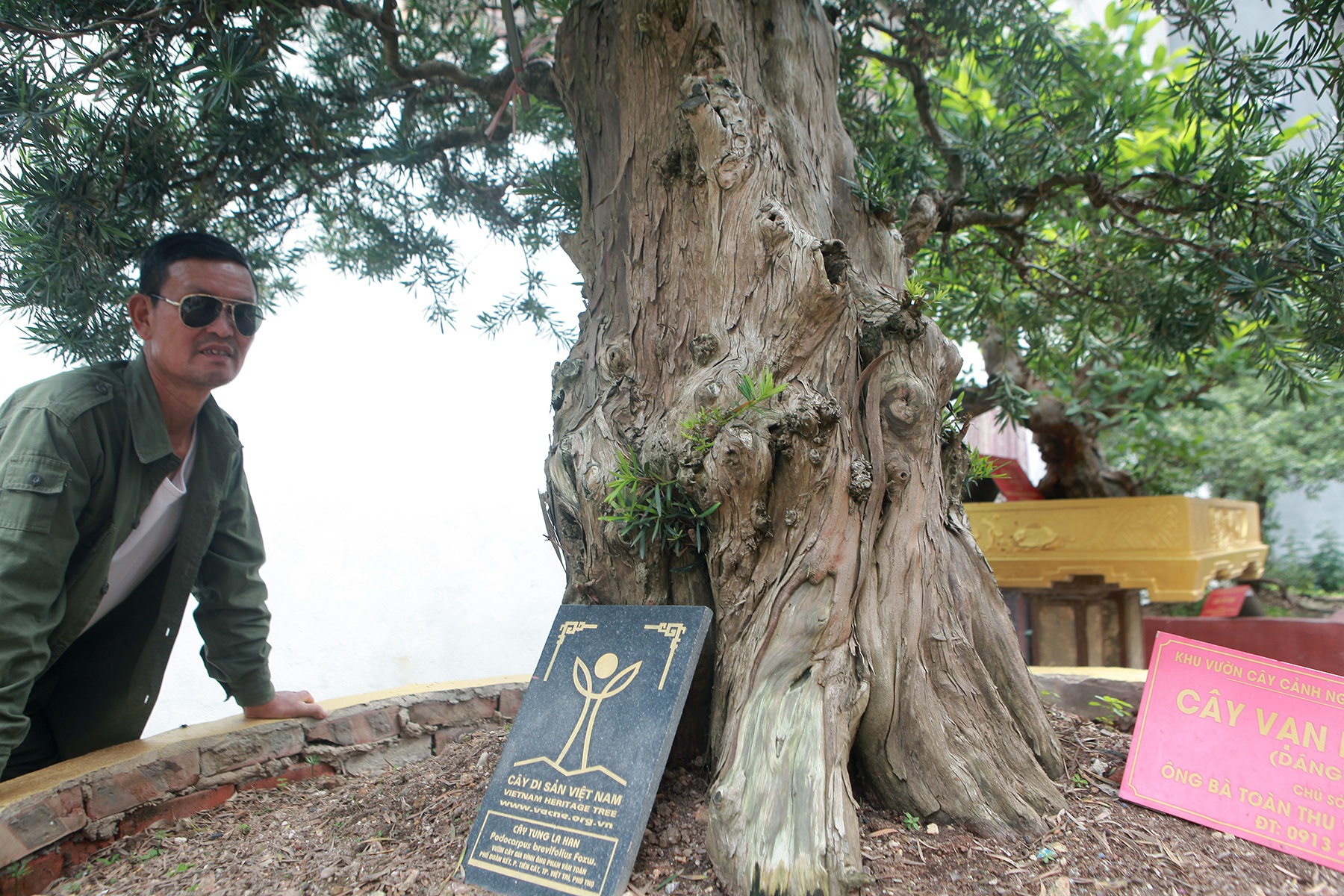 Nữ đại gia bỏ đam mê siêu xe sang để tậu tùng cổ triệu đô - 10