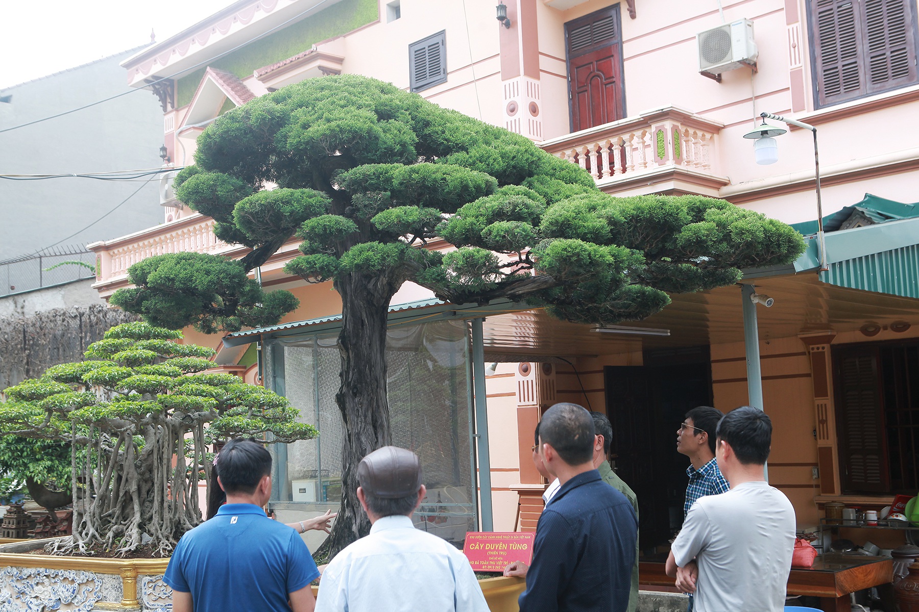 Nữ đại gia bỏ đam mê siêu xe sang để tậu tùng cổ triệu đô - 3