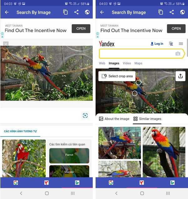 Mẹo tra cứu thông tin bằng hình ảnh dễ dàng trên smartphone - 4