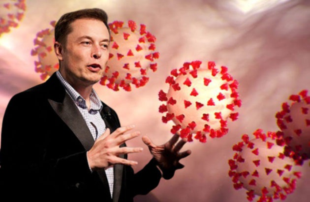 Dương tính SARS-CoV-2, Elon Musk vẫn lên Twitter thách thức dịch bệnh - 1