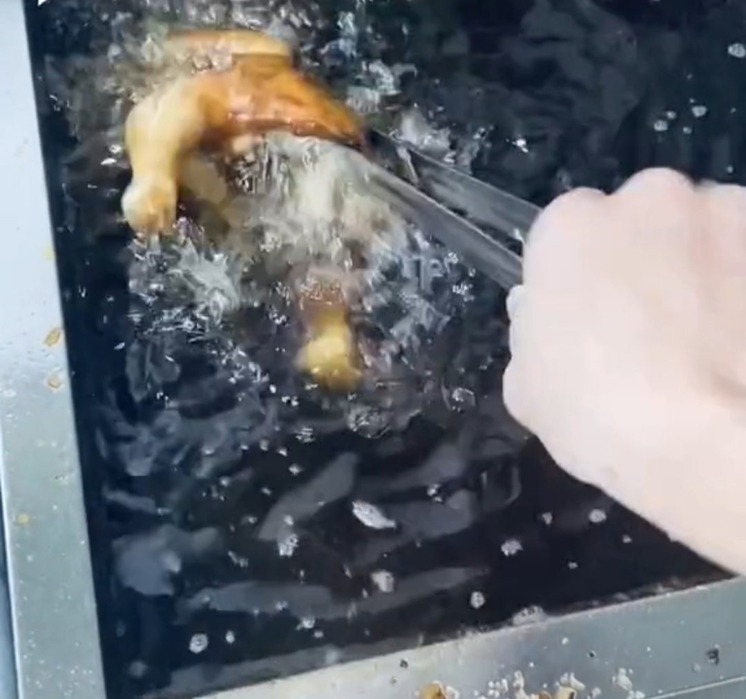 Nhân viên rán gà tiết lộ: Dầu thải 2 tuần không thay, nhớt bẩn kinh hoàng - 1