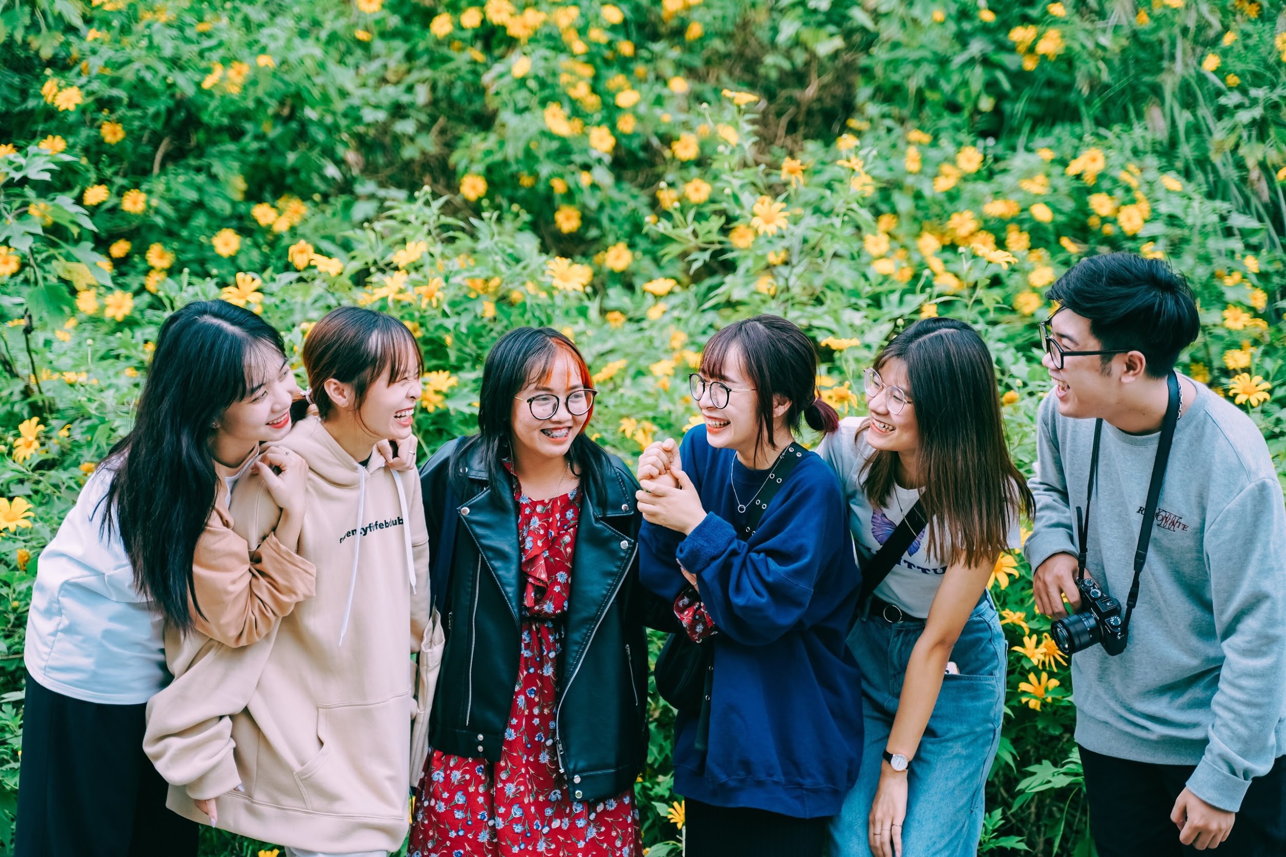 Giới trẻ nô nức check-in, khoe ảnh bên sắc hoa dã quỳ - 1