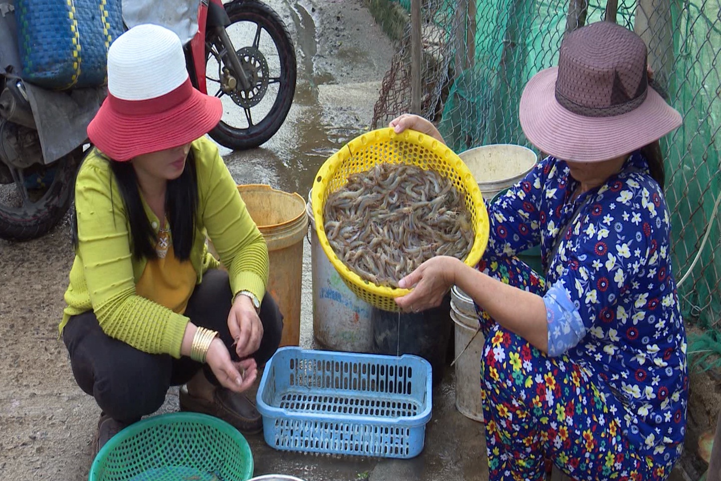 Tôm đất xuất hiện dày đặc sau lũ, người dân kiếm hơn nửa triệu đồng mỗi đêm - 3