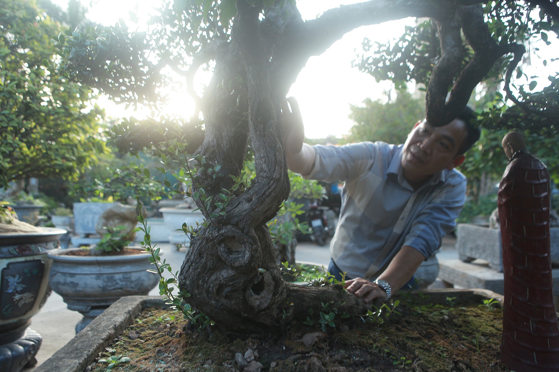 Chiêm ngưỡng hòn ngọc Viễn Đông giá tiền tỷ độc nhất vô nhị ở Việt Nam - 2