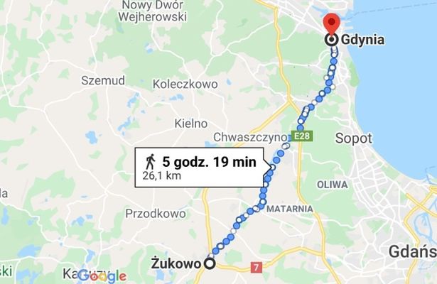 Chú chó mù tìm về với chủ sau hành trình 5 ngày 30 km - 2