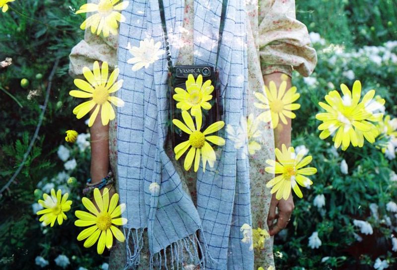 Vì sao máy ảnh analog vẫn sống khỏe và thành biểu tượng trong thời 4.0? - 6